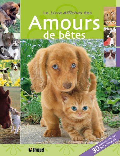 Le Livre Affiches Des Amours De B Tes By Jane Moseley Goodreads