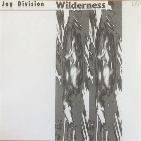 Joy Division Wilderness Orange Flexi Disc Discogs