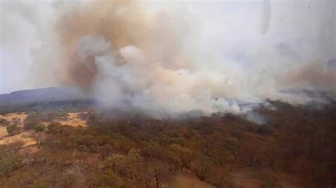 Jalisco Suman Once Incendios Forestales En Zm De Guadalajara