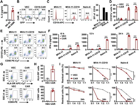 Irradiated Chimeric Antigen Receptor Engineered Nk 92mi Cells Show