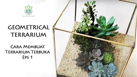 Succulent Terrarium Setup Cara Membuat Terrarium Terbuka Eps Youtube