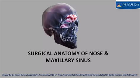 Surgical Anatomy Of Nose And Maxilliary Sinuspptx Autosaved Ppt