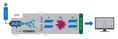 Mass Spectrometry Explained How Lc Ms Ms Works