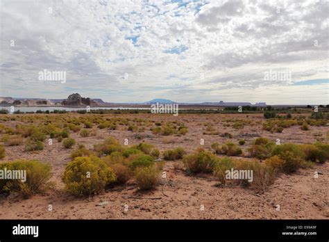 Lake Powell, Page, Arizona, USA Stock Photo - Alamy