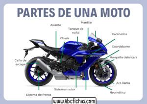 Estructura Y Partes De Un Motocicleta