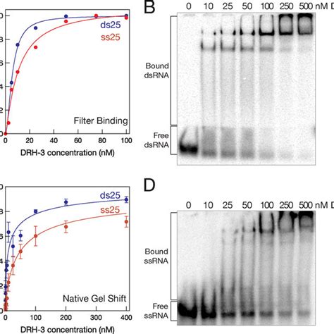 Drh Atpase Is Stimulated By Double Stranded Rna A Analysis Showing