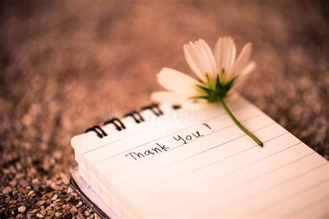 Thank You Text On A White Page Note Book Stock Photo Image Of List