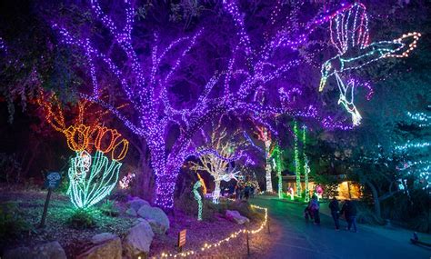 ZooLights in - Phoenix, AZ | Groupon