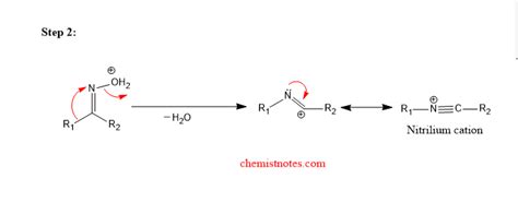 Beckmann Rearrangement Mechanism And Application Chemistry Notes