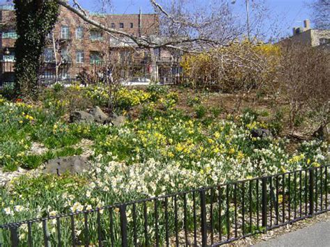 The best gardens in NYC plus secret gardens around the city