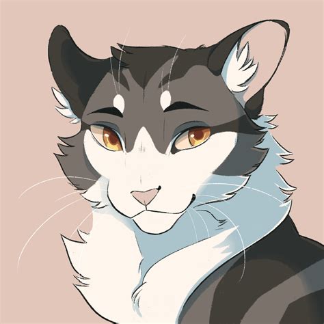 Climb Warrior Cats Fan Art Warrior Cats Art Warrior Cats