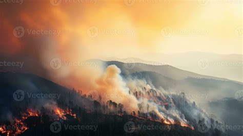 Forest fire background 26658493 Stock Photo at Vecteezy