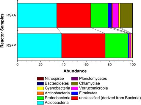 Relative abundance of microbial community for RS þ P and RS þ A at