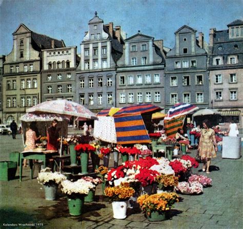 Plac Solny Wrocław Kwiaty Kwiaty Polska