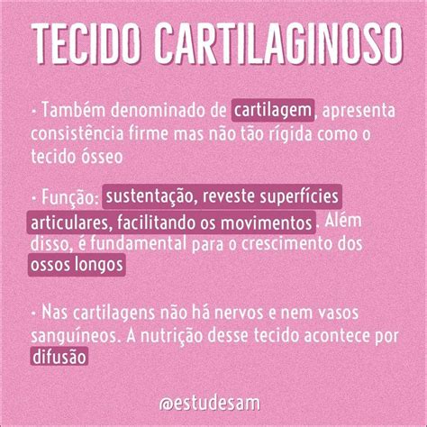 Tecido Cartilaginoso Mapa Mental Revoeduca