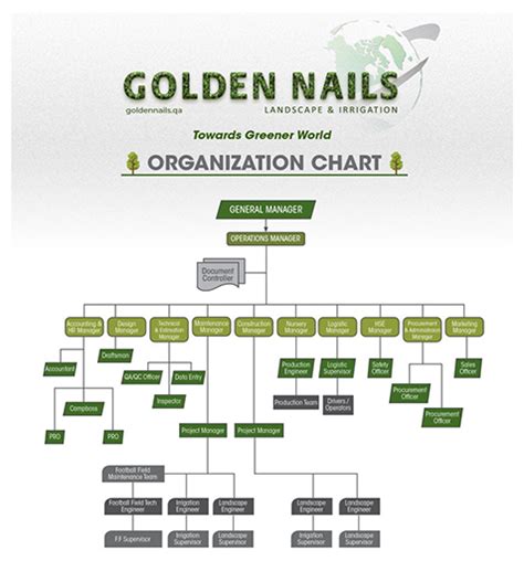 Organizational Chart Golden Nails Landscape