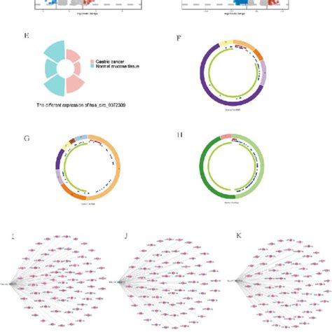 Expression Pattern Of Differentially Expressed Circular Rnas Decs