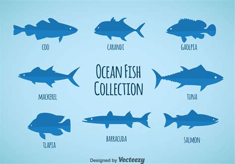 Ocean Fish Collection Vector - Download Free Vector Art