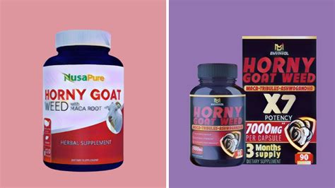 The Best Horny Goat Weed That Will Get You In The Mood