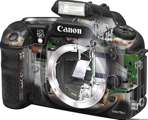 Canon EOS-10D - the improved D60: Digital Photography Review