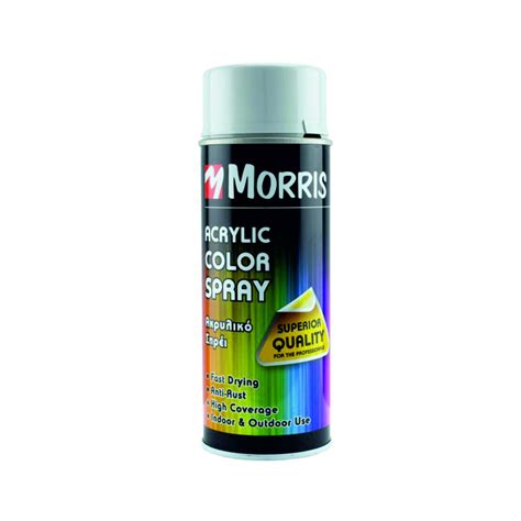 Spray Color Acrilic Gri Deschis Lucios Ral Ml Morris