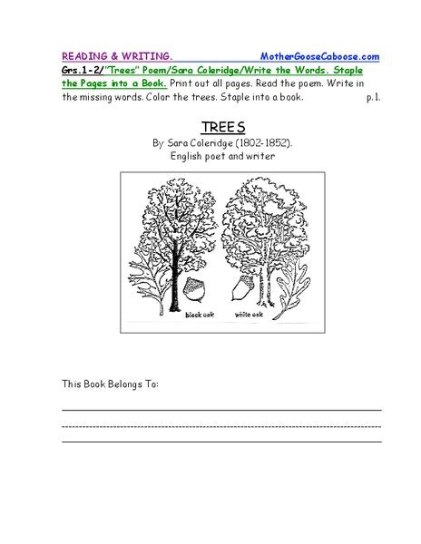 Trees Worksheet For Kindergarten 1st Grade Lesson Planet