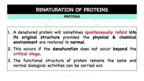 Proteins Denaturation Renaturation Composition Structure The