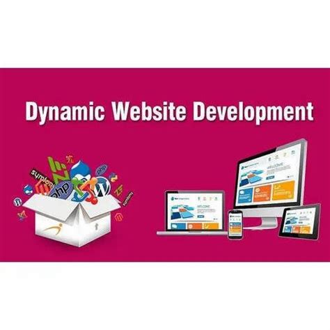 Dynamic Websites Design Services at best price in Gobichettipalayam | ID: 23100127662