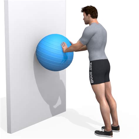 Exercise Ball Triceps Extension Standing Video Exercise Guide