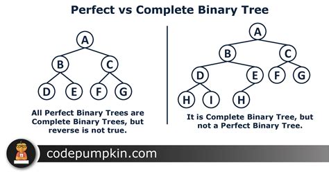 Degree Of Binary Tree Binary Tree Binary Search Tree A