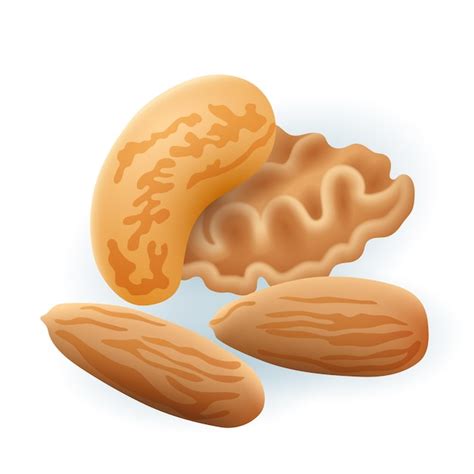 Free Vector Almonds Cashew And Walnut D Illustration Cartoon