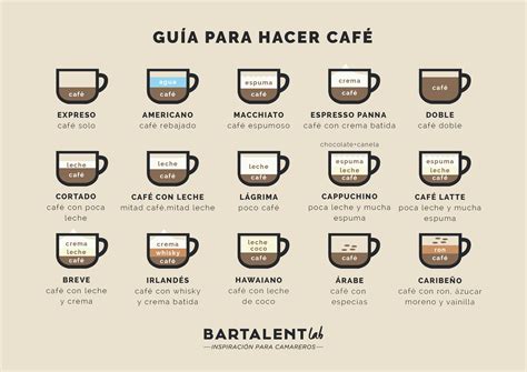 Tipos De Caf Una Gu A Pr Ctica Para Todo Camarero Bartalent Lab