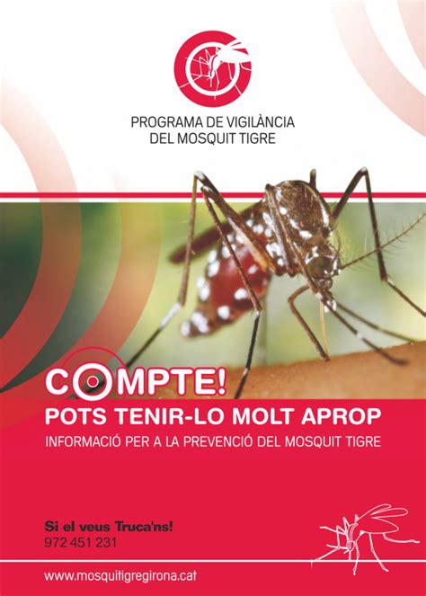 Actua per evitar la propagació del mosquit tigre Web oficial de l