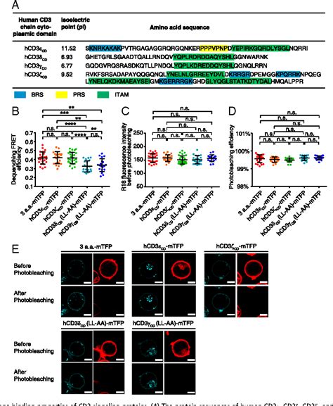 Figure 1 From Ionic CD3Lck Interaction Regulates The Initiation Of T