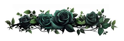 Meaning of Green Roses: History and Symbolism - Spectrum of Roses