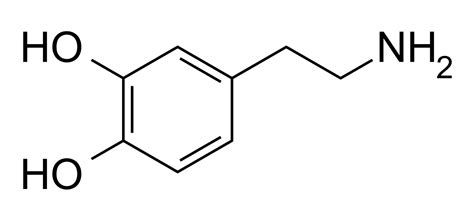 Dopamina Bioquímica InfoEscola