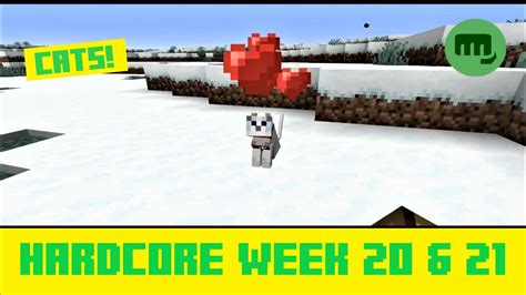 Minecraft Hardcore Survival Week Exploring Bees Cats