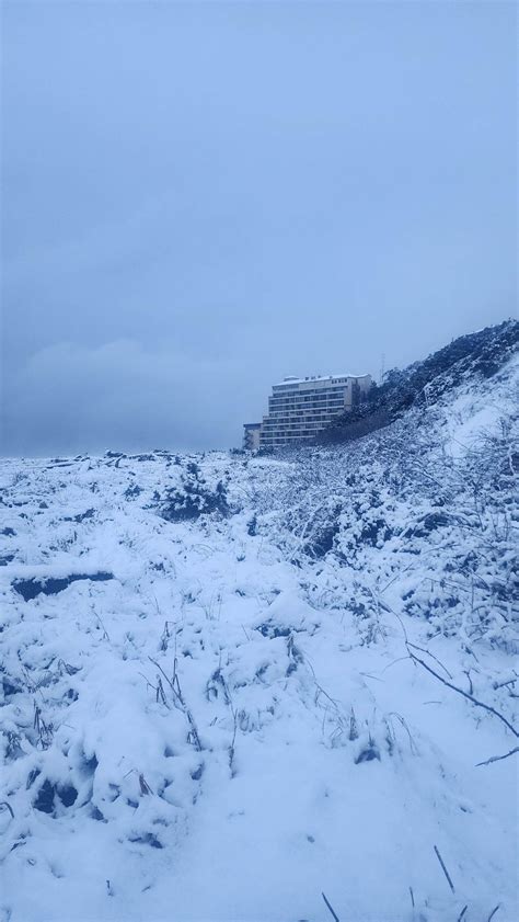 📸 Photos: A Rare Snow Day On The Oregon Coast