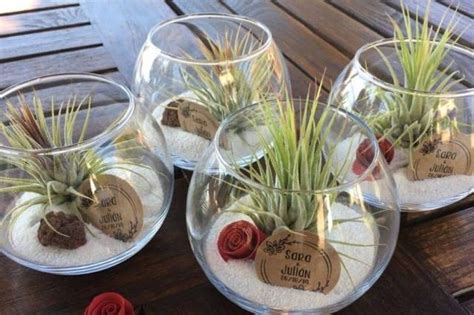 Ideas Originales Para Regalar Plantas De Aire A Tus Invitados De Boda