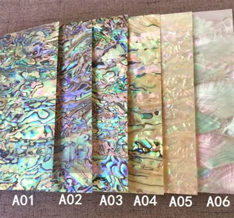 Pcs L Cm W Cm T Mm Natural Abalone Shell Mother Of Pearl