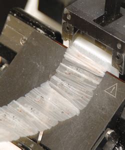 overview divisions pathology uc medicine