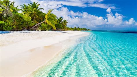 Maldives-Beach - Living + Nomads – Travel tips, Guides, News & Information!