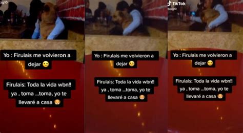 Tiktok Viral Per Firulais Ayuda Matar Las Penas Del Amor A Su Due O