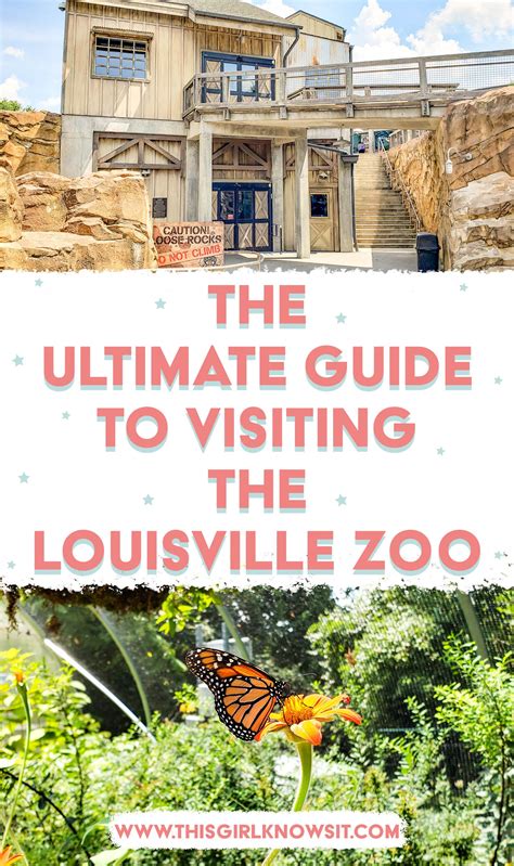 Louisville zoo – Artofit