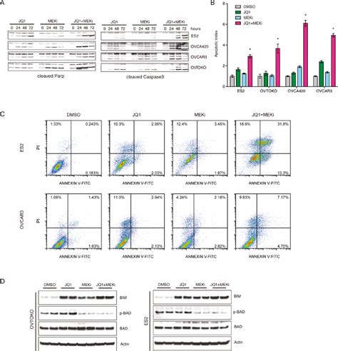 Bet And Mek Inhibitors Synergistically Elicited Tumor Cell Apoptosis