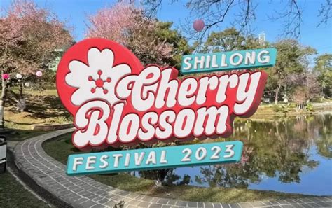 Shillong Cherry Blossom Festival: ഷില്ലോങിൽ പൂത്തുലഞ്ഞ് ചെറി വസന്തം