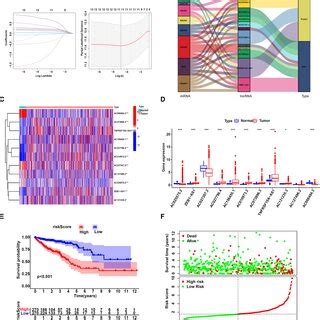 Key Prognostic Related LncRNAs And Construction Of Prognostic Risk