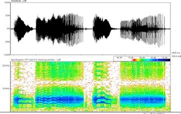 Bioacoustics and the Environment