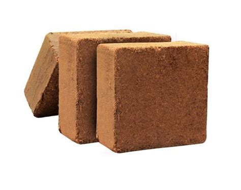 Eco Friendly Coco Peat Blocks At Best Price In Pardi Agro Product