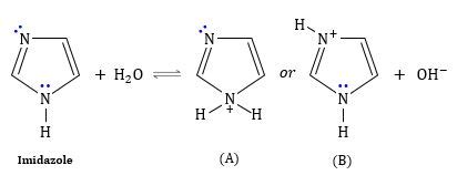 Imidazole Functional Group